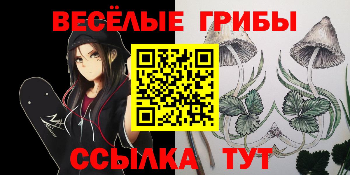 Псилоцибиновые грибы MAGIC MUSHROOMS Можга